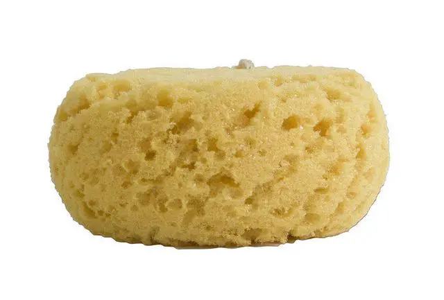 Alt view image 2 of 7 - GROOVI BEAUTY Foam Body Sponge for Exfoliating Large Scrubber for a Relaxing Shower or Bath, Pack of 2