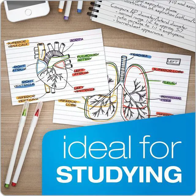 Alt view image 5 of 6 - Index Cards, 500 Pack, 4x6 Index Cards, Ruled on Front, Blank on Back, White, 5 Packs of 100 Shrink Wrapped Cards (40178)
