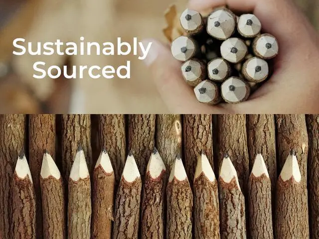 Alt view image 7 of 7 - Wooden Pencils Rustic Bark Twig Natural Wood Pencil 12 Pack 5 Inch for Kids Classroom Woodland Party Favors Camping Day Decorations Camp Themed Supplies Novelty Gifts