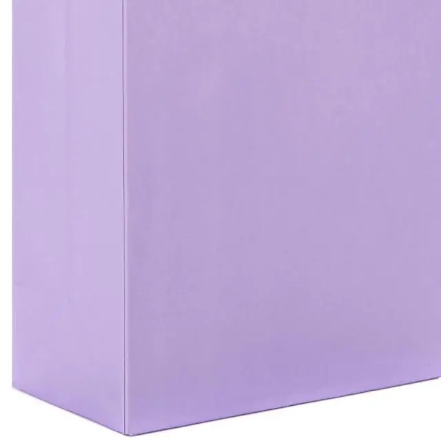 Alt view image 5 of 6 - Recyclable Gift Bags Assorted Sizes (8 Pack) Pastel Colors