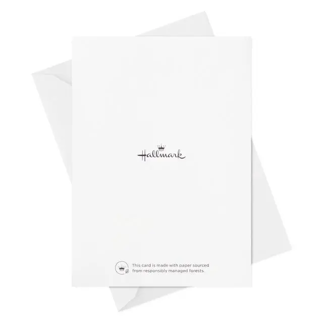 Alt view image 7 of 7 - Blank Cards with Envelopes, Assorted 48-Pack (Painted Flowers) | Painted Floral Artwork in Four Styles, Coordinating Envelopes, Premium Paper Stock, 3.8 x 5.2 in