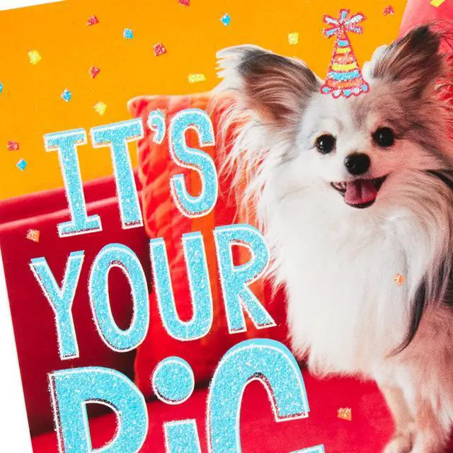 Alt view image 4 of 7 - Birthday Cards Assortment, 20 Cards with Envelopes (Refill Pack for Hallmark Card Organizer Box)