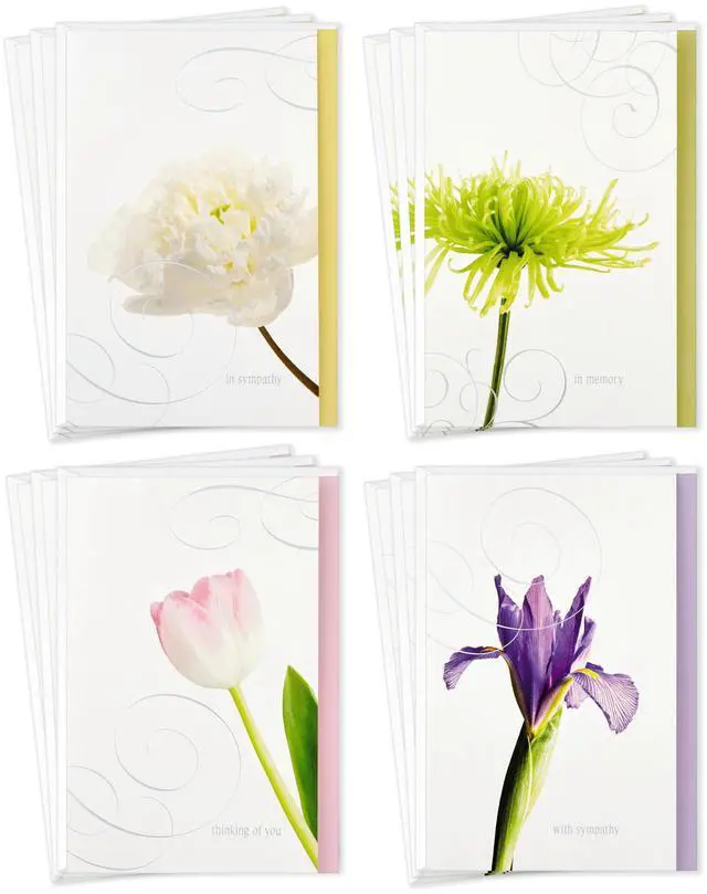 Main image of Assorted Sympathy Cards (Flowers, 12 Cards and Envelopes)
