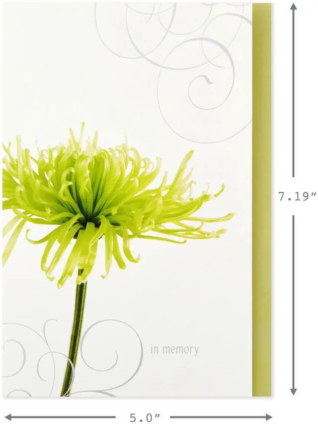 Alt view image 2 of 7 - Assorted Sympathy Cards (Flowers, 12 Cards and Envelopes)