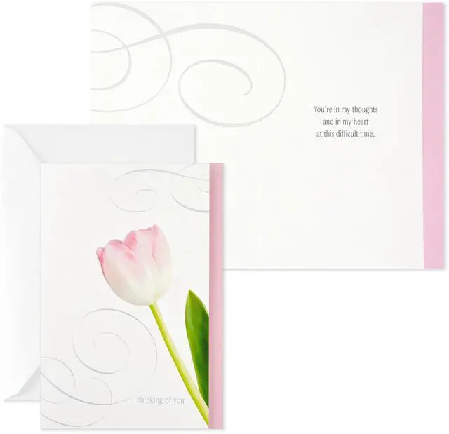 Alt view image 6 of 7 - Assorted Sympathy Cards (Flowers, 12 Cards and Envelopes)