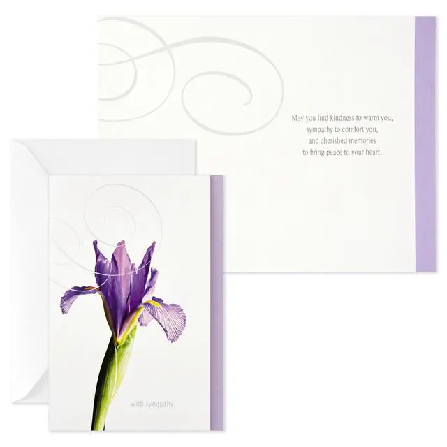 Alt view image 7 of 7 - Assorted Sympathy Cards (Flowers, 12 Cards and Envelopes)