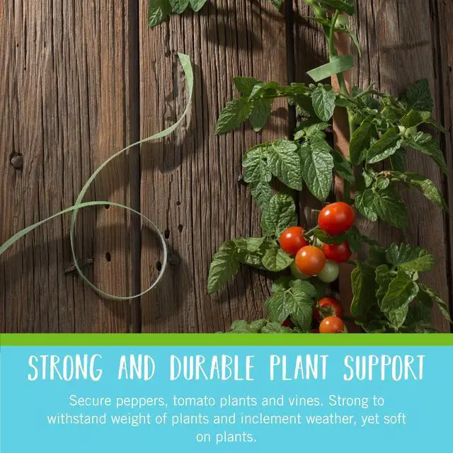 Alt view image 4 of 6 - Brand Adjustable Plant Ties | 75 ft x 1/2 in Green Garden Tape | Reusable, Cut-to-Length Hook & Loop Plant Support for Staking, Training & Organizing Tomatoes, Vines, and Flowers
