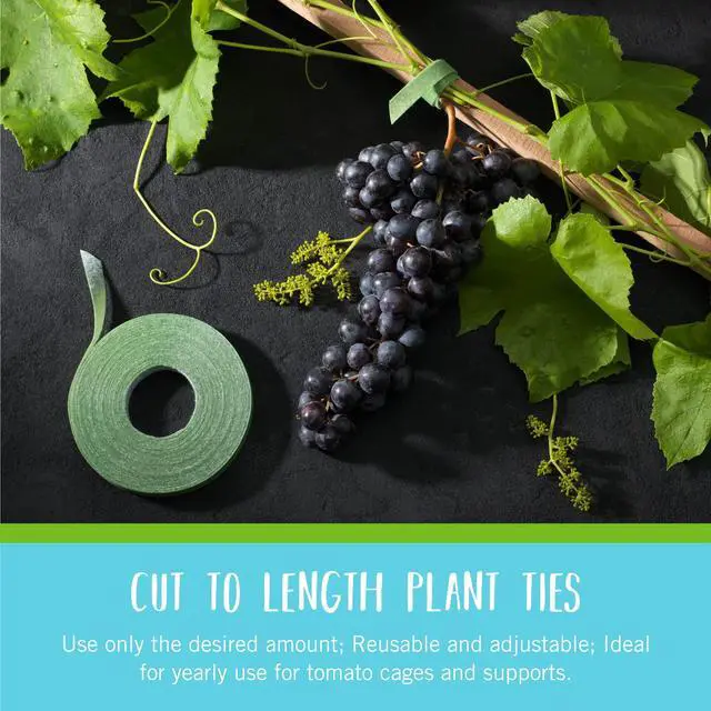 Alt view image 6 of 6 - Brand Adjustable Plant Ties | 75 ft x 1/2 in Green Garden Tape | Reusable, Cut-to-Length Hook & Loop Plant Support for Staking, Training & Organizing Tomatoes, Vines, and Flowers