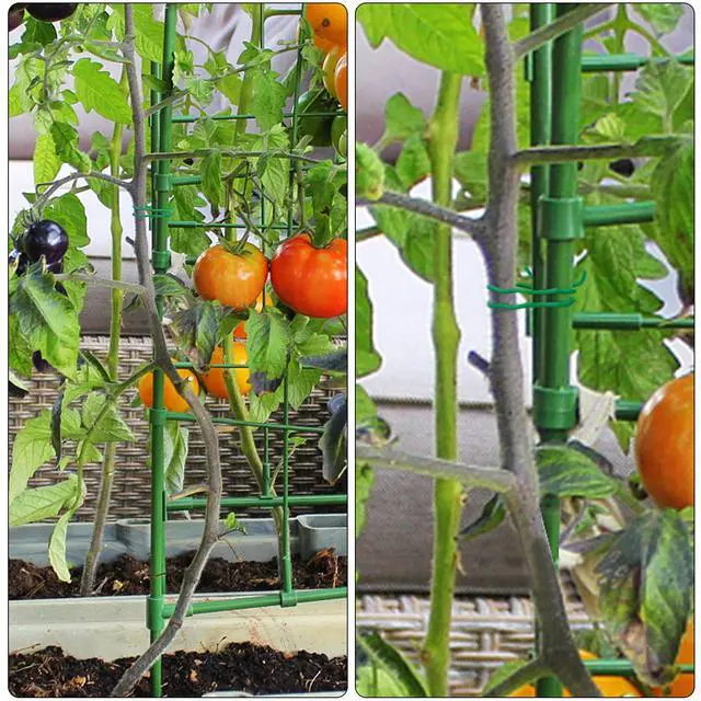 Alt view image 4 of 7 - 100 Feet Soft Tie for Plants, Green Twist Garden Ties Gardening Supplies for Supporting Climbing Plants, Tomatoes, Vegetables, (Diameter - 2.5MM)