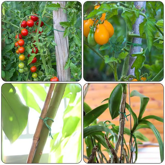 Alt view image 2 of 7 - 100 Feet Soft Tie for Plants, Green Twist Garden Ties Gardening Supplies for Supporting Climbing Plants, Tomatoes, Vegetables, (Diameter - 2.5MM)