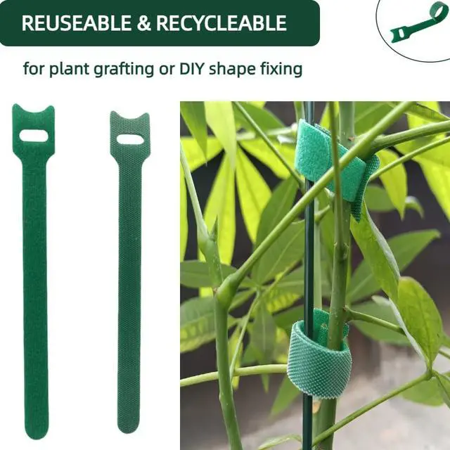 Alt view image 5 of 7 - 100Pcs 6-Inch Green Reusable Adjustable Plant Ties & Garden Tape | Anti-Slip, Hook and Loop, Nylon, Ideal for Climbing Plant Support, Christmas Garlands & Cable Organizer