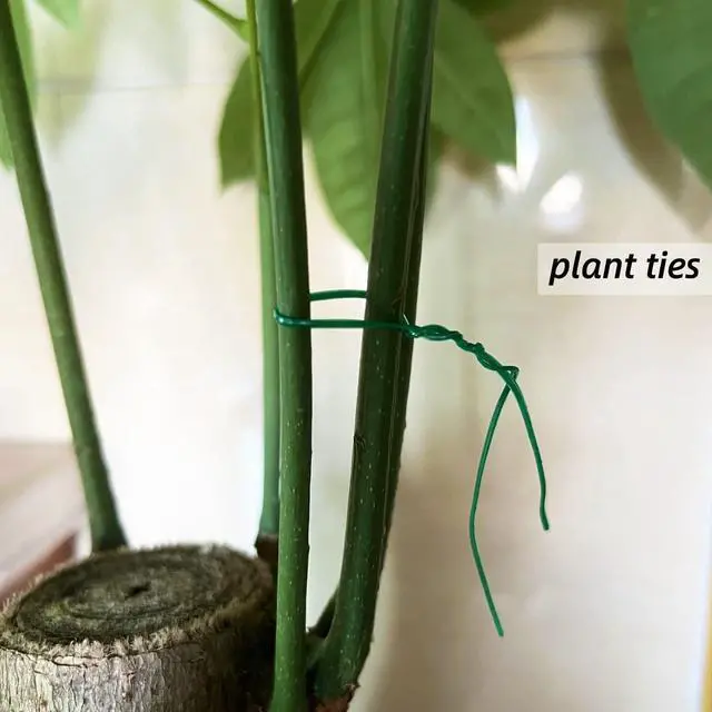 Alt view image 4 of 7 - Plant Twist Ties - 8'' Plant Ties for Climbing Plants, Pack of 100, Green | Garden Ties Reusable Twist Ties Garden Twine for Plants Vines Cords Bags