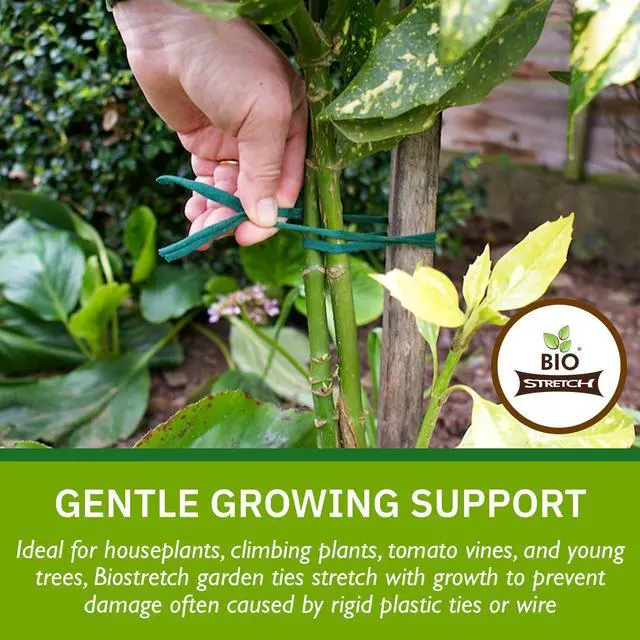 Alt view image 3 of 6 - Soft Garden Twine & Plant Ties for Outdoor Plants, 1 Ball Green | Stretchy & Flexible, Gentle on Delicate Stems, Ideal for Climbing Plants, Naturally Degrades after 18-24 Months