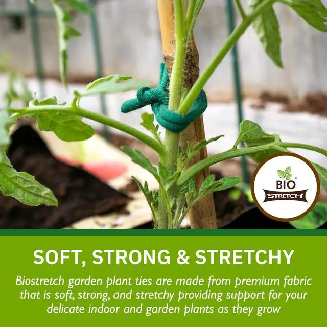 Alt view image 2 of 6 - Soft Garden Twine & Plant Ties for Outdoor Plants, 1 Ball Green | Stretchy & Flexible, Gentle on Delicate Stems, Ideal for Climbing Plants, Naturally Degrades after 18-24 Months