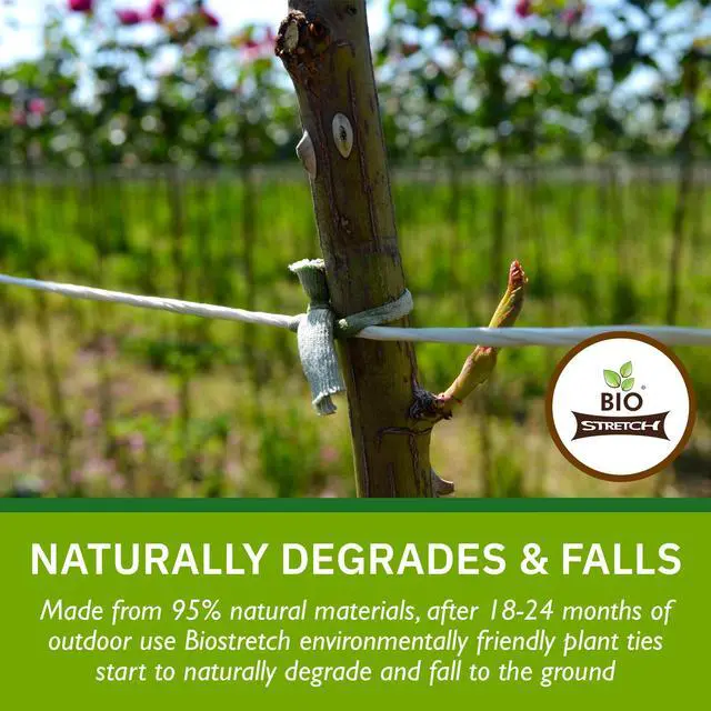 Alt view image 6 of 6 - Soft Garden Twine & Plant Ties for Outdoor Plants, 1 Ball Green | Stretchy & Flexible, Gentle on Delicate Stems, Ideal for Climbing Plants, Naturally Degrades after 18-24 Months