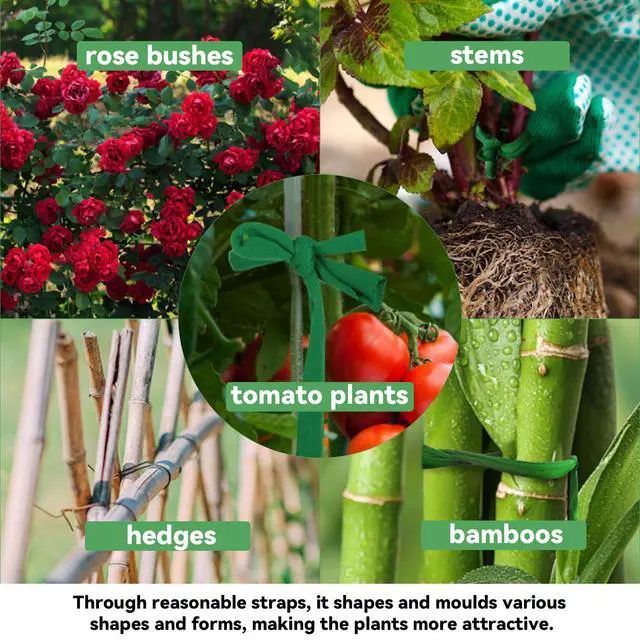Alt view image 4 of 7 - Plant Ties for Outdoor Plants - Soft Garden Twine 2 Pack 115FT | Garden String, Plant Tape for Climbing Plants, Tomato Ties, Tree Support, Strong Stretchy Support, Flowers, Vines, Stems