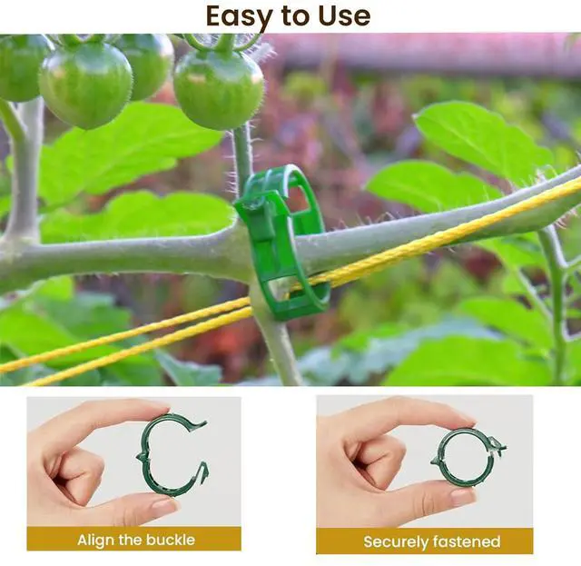 Alt view image 4 of 6 - Plant Support Clips, 100 Pcs Tomato Clips, Plastic Trellis Clips, Grape Vine Tomato Vine Vegetables Plants Garden Support Clips to Grow Upright Makes Plants Healthier