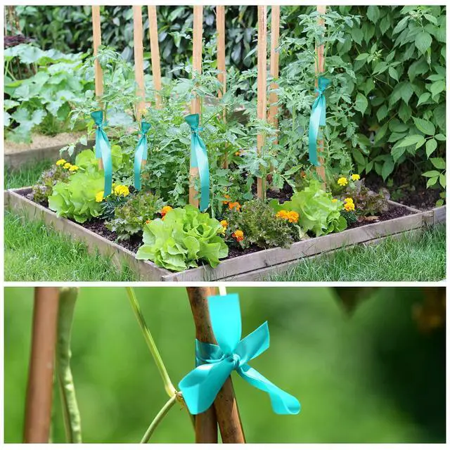 Alt view image 5 of 7 - Stretch Tie Tape, 1 Wide 200FT Reusable Garden Plant Ties Green Tapes for Plants, Thick Garden Vinyl Stake Ribbon for Branches Flowers Tomatoes Indoor Outdoor Greenhouse