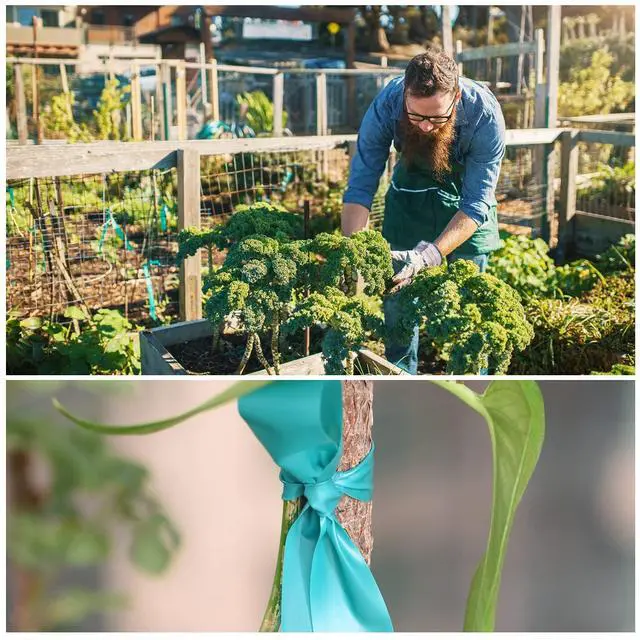 Alt view image 6 of 7 - Stretch Tie Tape, 1 Wide 200FT Reusable Garden Plant Ties Green Tapes for Plants, Thick Garden Vinyl Stake Ribbon for Branches Flowers Tomatoes Indoor Outdoor Greenhouse
