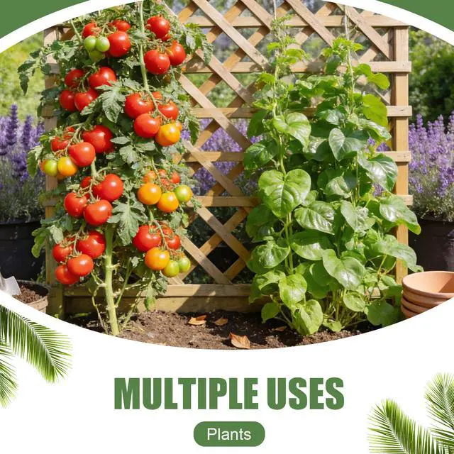 Alt view image 6 of 7 - 984FT Total (2 Rolls, 492FT Each) Garden Twist Ties with Cutter, Plant Ties for Tomatoes & Vines, Reusable Garden Ties for Gardening, Cable Management & Home Organization