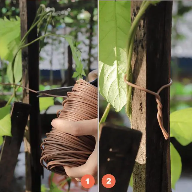 Alt view image 5 of 7 - 130 Feet Soft Plant Tie Brown Twist Garden Ties for Plants Gardening Home Office Organization TPR Garden Ties Supplies with 2.5mm Diameter