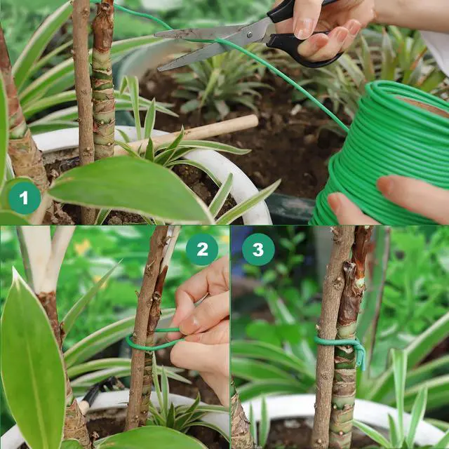 Alt view image 4 of 7 - 130 Feet Soft Plant Tie Green Twist Garden Ties for Plants Gardening Home Office Organization TPR Garden Ties Supplies with 2.5mm Diameter