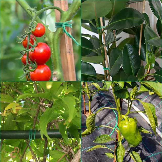 Alt view image 3 of 7 - 120 Feet Green Soft Twist Tie Tomato Plant Tie | Garden Wire Green Twist Garden Ties for Supporting Plants and Home Organizing
