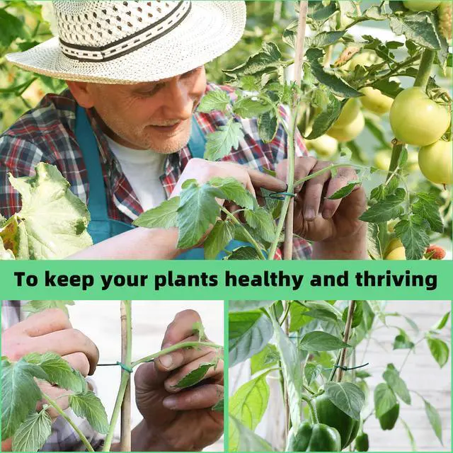 Alt view image 6 of 7 - 120 Feet Green Soft Twist Tie Tomato Plant Tie | Garden Wire Green Twist Garden Ties for Supporting Plants and Home Organizing