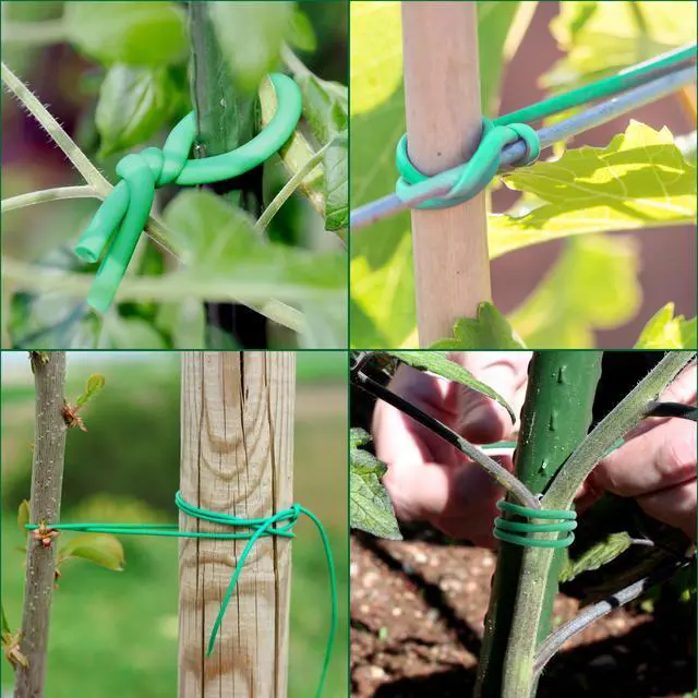 Alt view image 7 of 7 - 120 Feet Green Soft Twist Tie Tomato Plant Tie | Garden Wire Green Twist Garden Ties for Supporting Plants and Home Organizing