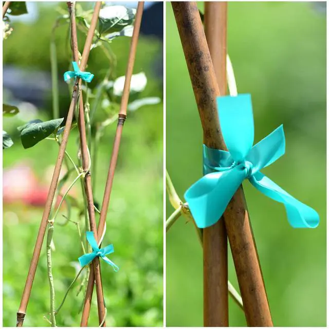 Alt view image 4 of 7 - 2 Pcs 150 Feet x 1/2" Wide Stretch Tie Tape Green Plant Garden Tie, Garden Vinyl Stake for Branches, Climbing Planters, Flowers