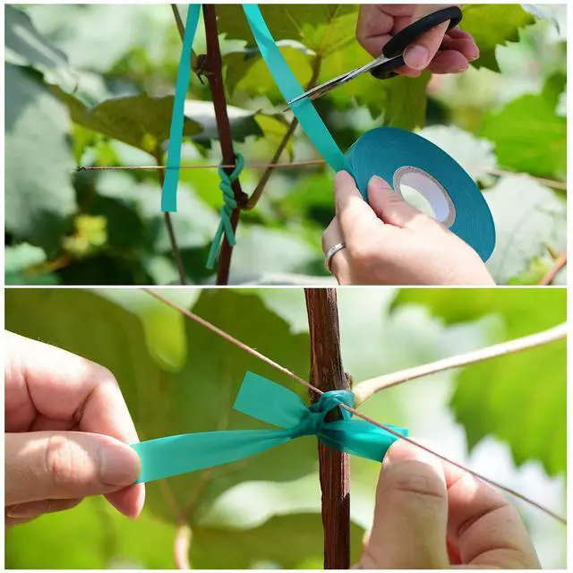 Alt view image 5 of 7 - 2 Pcs 150 Feet x 1/2" Wide Stretch Tie Tape Green Plant Garden Tie, Garden Vinyl Stake for Branches, Climbing Planters, Flowers