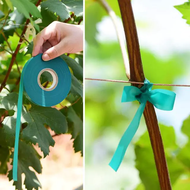 Alt view image 6 of 7 - 2 Pcs 150 Feet x 1/2" Wide Stretch Tie Tape Green Plant Garden Tie, Garden Vinyl Stake for Branches, Climbing Planters, Flowers