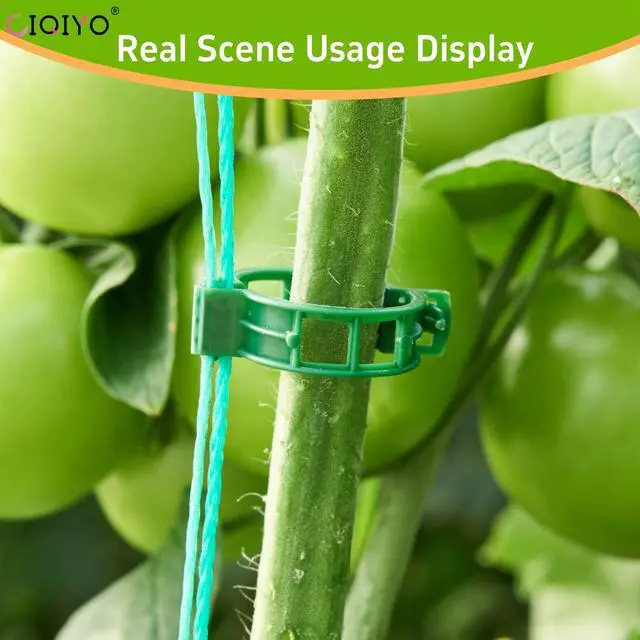 Alt view image 5 of 7 - 100 Pcs Plant Support Clips,Plastic Clips for Securing Plants | Plant Fixing Clips,Tomato Vine Clips,Garden Clips for Climbing Plants,Grape and Vine Vegetables,Reusable(100, Green)