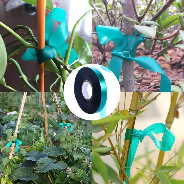 Alt view image 5 of 7 - 2 Rolls Stretch Tie Tape Garden Tie Tape Thick Plant Ribbon Garden Green Vinyl Stake for Indoor Outdoor Patio Plant Use, 1 Inch Wide by 150 Feet Long