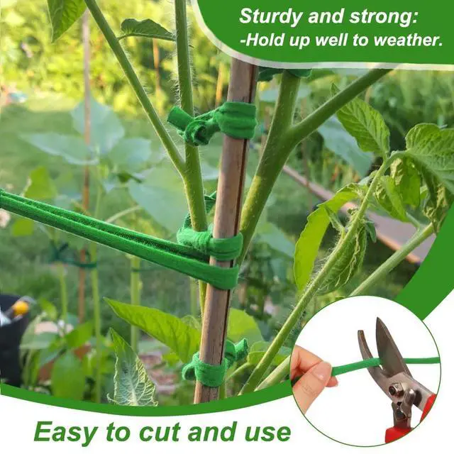 Alt view image 5 of 7 - 2 Packs Garden Twine, Soft Green Plant Ties for Tomato (196ft) | Tomato Ties for Climbing Plants, Gentle on Delicate Stems, Soft and Stretchy, Easy to Tie and Untie