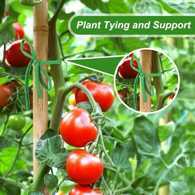 Alt view image 2 of 7 - 2 Packs Garden Twine, Soft Green Plant Ties for Tomato (196ft) | Tomato Ties for Climbing Plants, Gentle on Delicate Stems, Soft and Stretchy, Easy to Tie and Untie