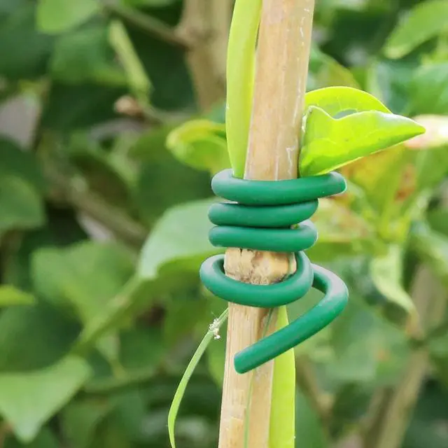 Alt view image 5 of 7 - Soft Plant Ties for Support - 65.6' Reusable Waterproof Plant Wire, 3.5mm Garden Twist, for Indoor & Outdoor Plants and Home Organizing1pc/Green