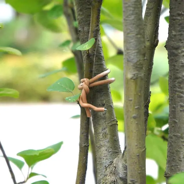Alt view image 4 of 7 - Soft Plant Ties for Support - 65.6' Reusable Waterproof Plant Wire, 3.5mm Garden Twist, Office Organization and Decoration Binding1pc/Brown