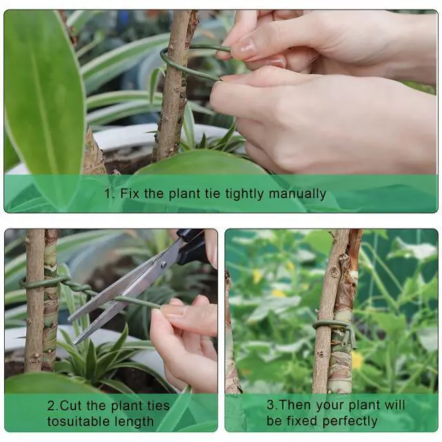 Alt view image 4 of 7 - 101 Feet Soft Plant Ties Dark Green Plant Twist Ties, Plant Ties for Support. Gardening Supplies for Plants Office Home Organization 3mm Diameter