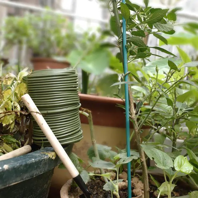 Alt view image 7 of 7 - 101 Feet Soft Plant Ties Dark Green Plant Twist Ties, Plant Ties for Support. Gardening Supplies for Plants Office Home Organization 3mm Diameter