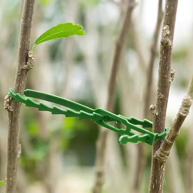 Alt view image 3 of 5 - 200PCS Adjustable Plant Ties - Flexible Green Multi-Function Sturdy Garden Twist Tie for Plant Support, Tree, Shrub - PT-200