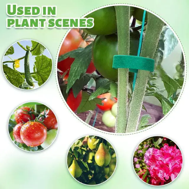 Alt view image 2 of 7 - Plant Tape, 6 Roll 196 Ft Green Garden Tape, Adjustable Twist Ties for Plants Support 1/2", Reusable Garden Ties for Climbing Plants, Gardening Tape for Outdoor Indoor Plants