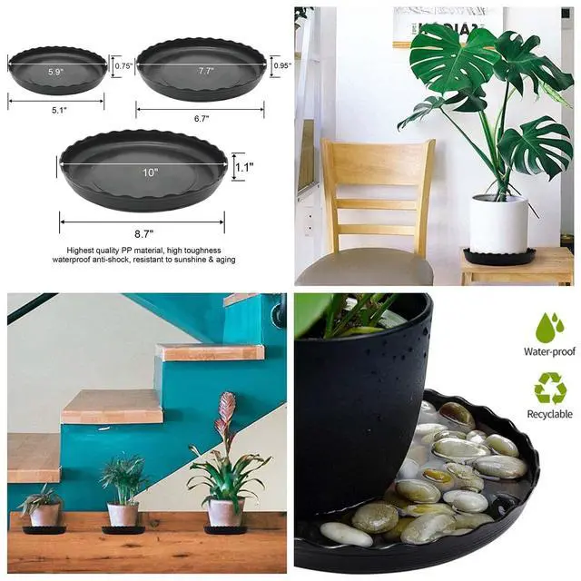 Alt view image 5 of 7 - 12Pcs Plant Saucer, 6 8 10 Inch Durable Plastic Plant Tray, Black Round Plant Pot Saucers, Drip Tray for Indoor and Outdoor Garden