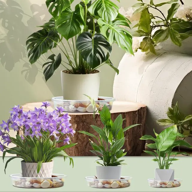 Alt view image 6 of 7 - 9 Pack Plant Saucers (6inch /8inch /10inch), Heavy Sturdy Plant Trays Pot Tray for Indoor Clear Plastic Flower Pot Saucers Thicker Plant Water Drip Trays for pots- Clear