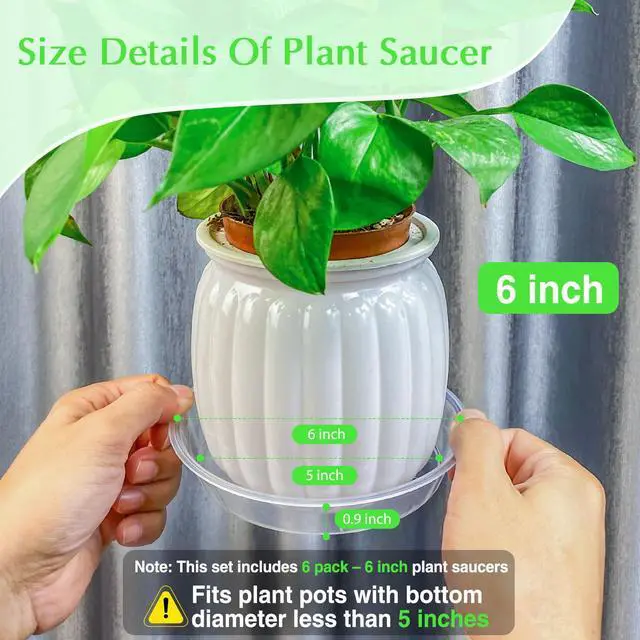 Alt view image 2 of 7 - 6 Pack Clear Plant Saucer, Durable Plant Drip Trays Saucers for Pots, No Holes Water Catcher Trays for Indoor Outdoor Planter, Sturdy Base Plate(6", Clear)