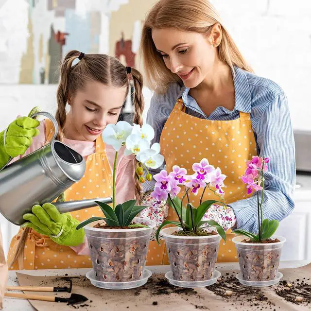 Alt view image 3 of 7 - 6 Pack Clear Plant Saucer, Durable Plant Drip Trays Saucers for Pots, No Holes Water Catcher Trays for Indoor Outdoor Planter, Sturdy Base Plate(6", Clear)