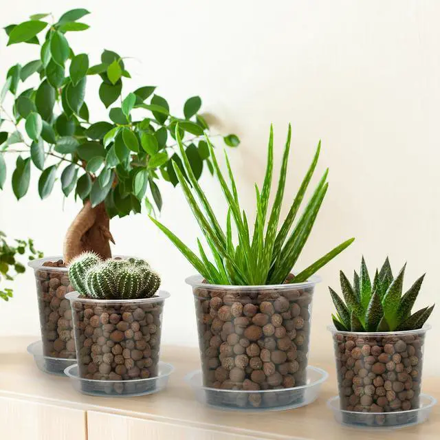 Alt view image 4 of 7 - 6 Pack Clear Plant Saucer, Durable Plant Drip Trays Saucers for Pots, No Holes Water Catcher Trays for Indoor Outdoor Planter, Sturdy Base Plate(6", Clear)