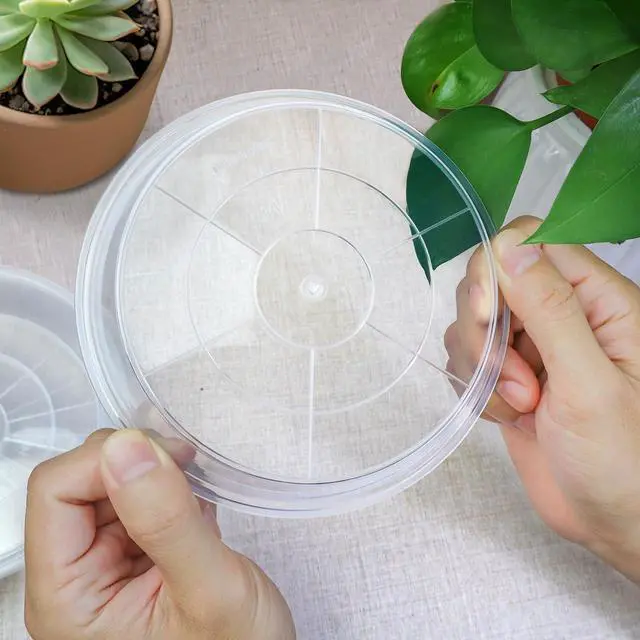 Alt view image 5 of 7 - 6 Pack Clear Plant Saucer, Durable Plant Drip Trays Saucers for Pots, No Holes Water Catcher Trays for Indoor Outdoor Planter, Sturdy Base Plate(6", Clear)