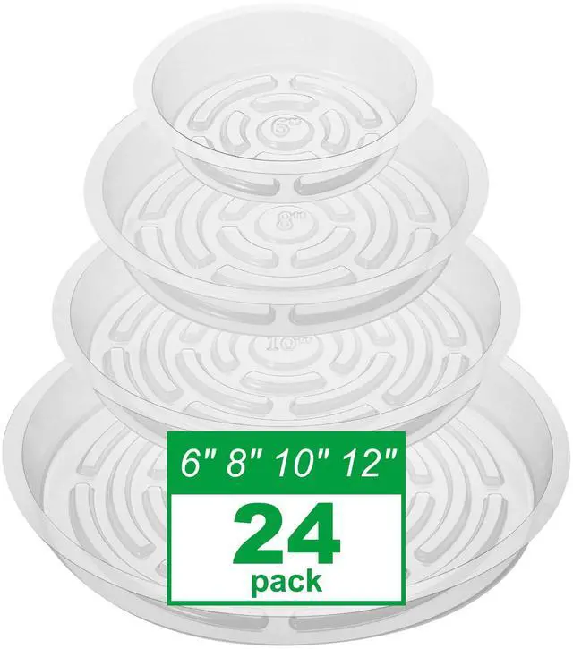 Main image of 24 Pack Clear Plant Saucers - 6, 8, 10, 12 Inch Plastic Plant Trays for Pots, Flower Pot Saucers, Indoor & Outdoor Planter Drip Tray for Water Drainage & Protection