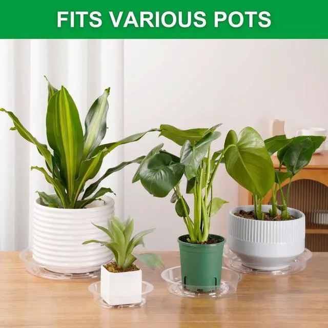 Alt view image 2 of 7 - 24 Pack Clear Plant Saucers - 6, 8, 10, 12 Inch Plastic Plant Trays for Pots, Flower Pot Saucers, Indoor & Outdoor Planter Drip Tray for Water Drainage & Protection